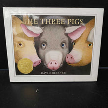 Load image into Gallery viewer, The Three Pigs (David Wiesner) -hardcover
