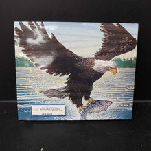 Load image into Gallery viewer, Animal School: What Class Are You? (Michelle Lord) -educational
