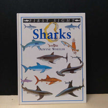 Load image into Gallery viewer, Sharks (First sight)-educational
