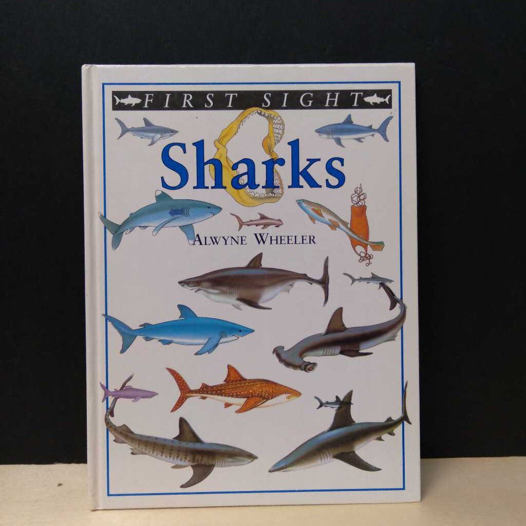 Sharks (First sight)-educational