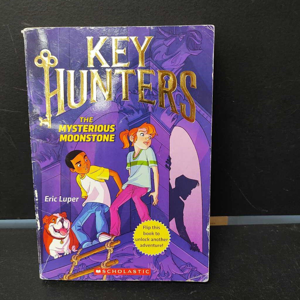 The Mysterious Moonstone/The Spy's Secret (Key Hunters) (Eric Luper) -series