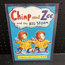 Load image into Gallery viewer, Chimp and Zee and the big storm (Catherine Anholt)-hardcover
