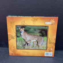 Load image into Gallery viewer, African Critters (National Geographic) (Robert B. Haas) (Mammals) -educational
