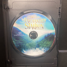 Load image into Gallery viewer, Albion: The Enchanted Stallion -movie
