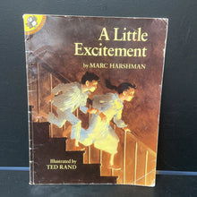 Load image into Gallery viewer, A Little Excitement (Marc Harshman) -paperback
