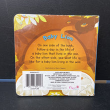Load image into Gallery viewer, Baby Lion (Life In The Zoo and In The Jungle) -board
