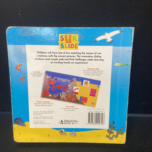 Seek and Slide In the Sea -board