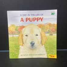 Load image into Gallery viewer, A Day in the Life of a Puppy (Peter Barrett) -paperback
