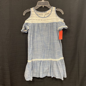 chambray lace dress