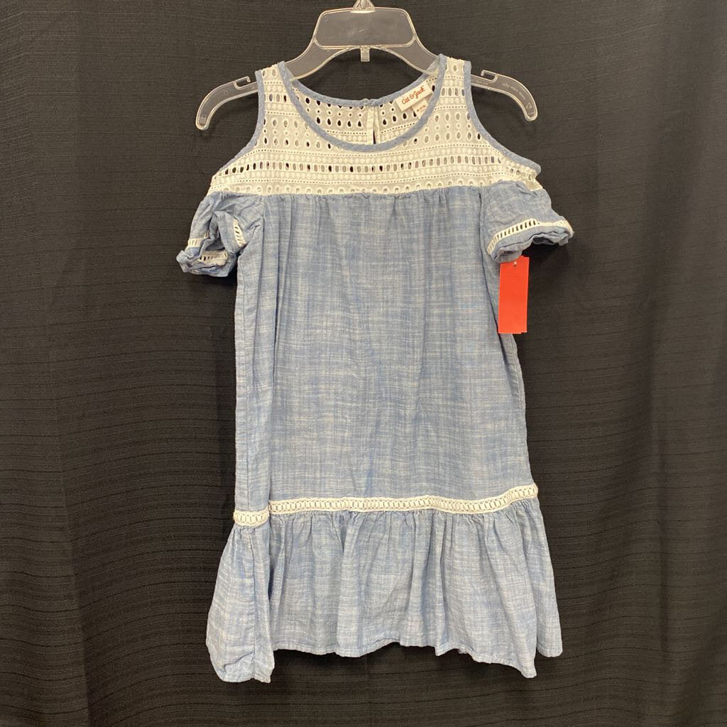 chambray lace dress