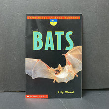 Load image into Gallery viewer, Bats (Scholastic Science Level 1) -reader
