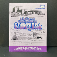 Load image into Gallery viewer, Carlsbad Caverns Gaudalupe Mountains Coloring Book -activity
