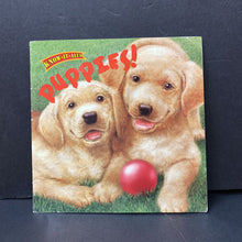Load image into Gallery viewer, Know-It-Alls Puppies (Janie Reinart) -educational paperback
