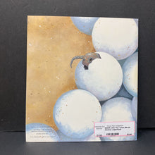 Load image into Gallery viewer, One Tiny Turtle (Nicola Davies) -paperback
