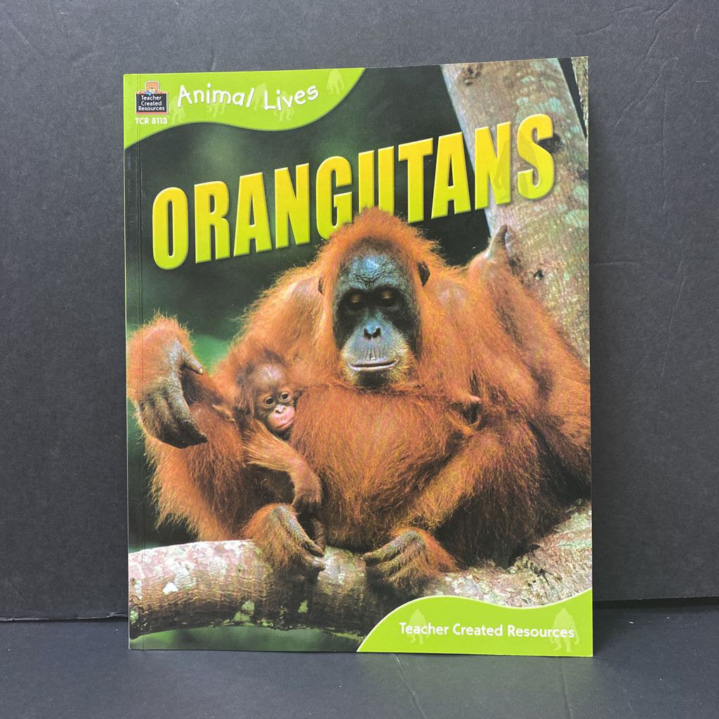 Animal Lives: Orangutans (Mammals) -educational