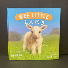 Load image into Gallery viewer, Wee Little Lamb (Lauren Thompson) -hardcover
