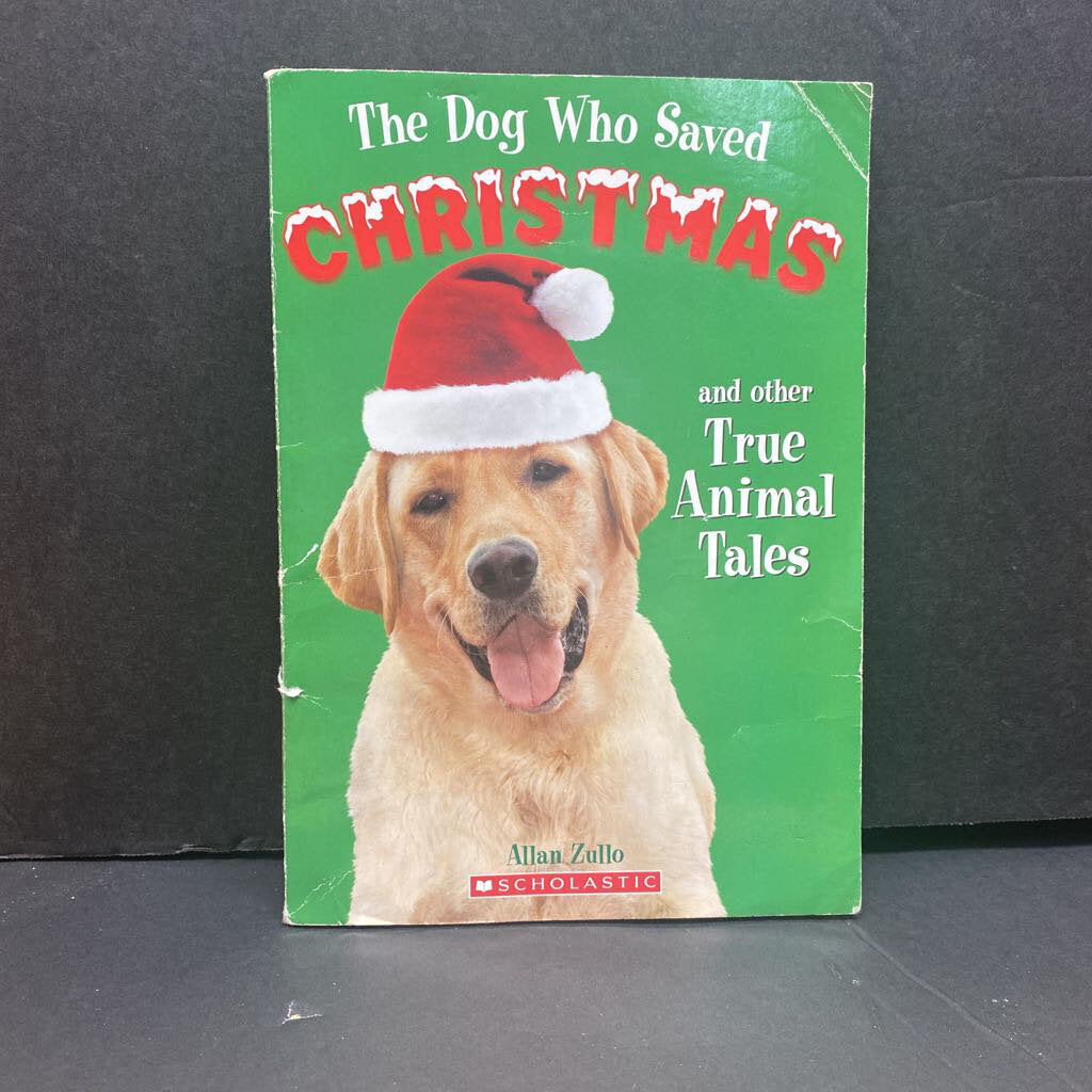 The Dog Who Saved Christmas: And Other True Tales (Allan Zullo) -holiday chapter