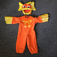 Load image into Gallery viewer, 2pc Goldfish Halloween Costume

