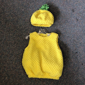 2pc Pineapple Halloween Costume