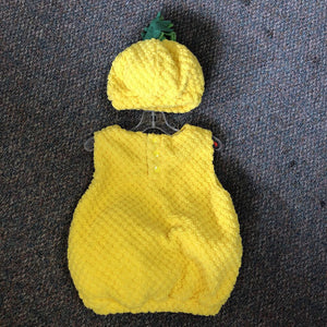 2pc Pineapple Halloween Costume