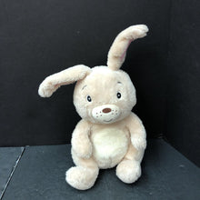 Load image into Gallery viewer, &quot;The Itsy Bitsy Bunny&quot; Bunny Plush
