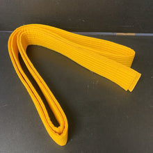 Load image into Gallery viewer, Martial Arts Belt
