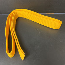 Load image into Gallery viewer, Martial Arts Belt
