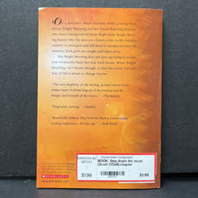 Load image into Gallery viewer, Sing down the moon (Scott O&#39;Dell) -chapter paperback
