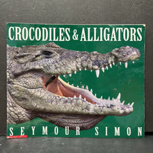 Load image into Gallery viewer, Crocodiles &amp; Alligators (Seymour Simon) (Reptiles) -educational
