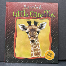 Load image into Gallery viewer, Little Giraffes (Born to be Wild) (Christian Marie) -educational
