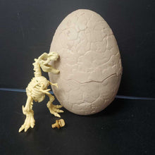Load image into Gallery viewer, Dino Fossil Find Skeleton Dinosaur w/Egg Battery Operated
