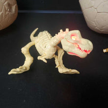Load image into Gallery viewer, Dino Fossil Find Skeleton Dinosaur w/Egg Battery Operated
