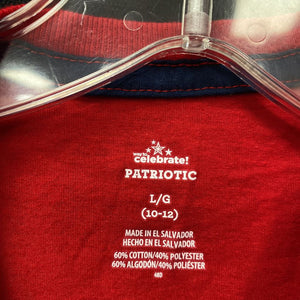 USA Motorcycle Shirt (NEW) (Celebrate Patriotic)