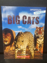 Load image into Gallery viewer, Big Cats (Investigate: Predators) (Lynette Evans) (Mammals) -educational reader paperback
