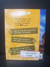 Load image into Gallery viewer, Big Cats (Investigate: Predators) (Lynette Evans) (Mammals) -educational reader paperback
