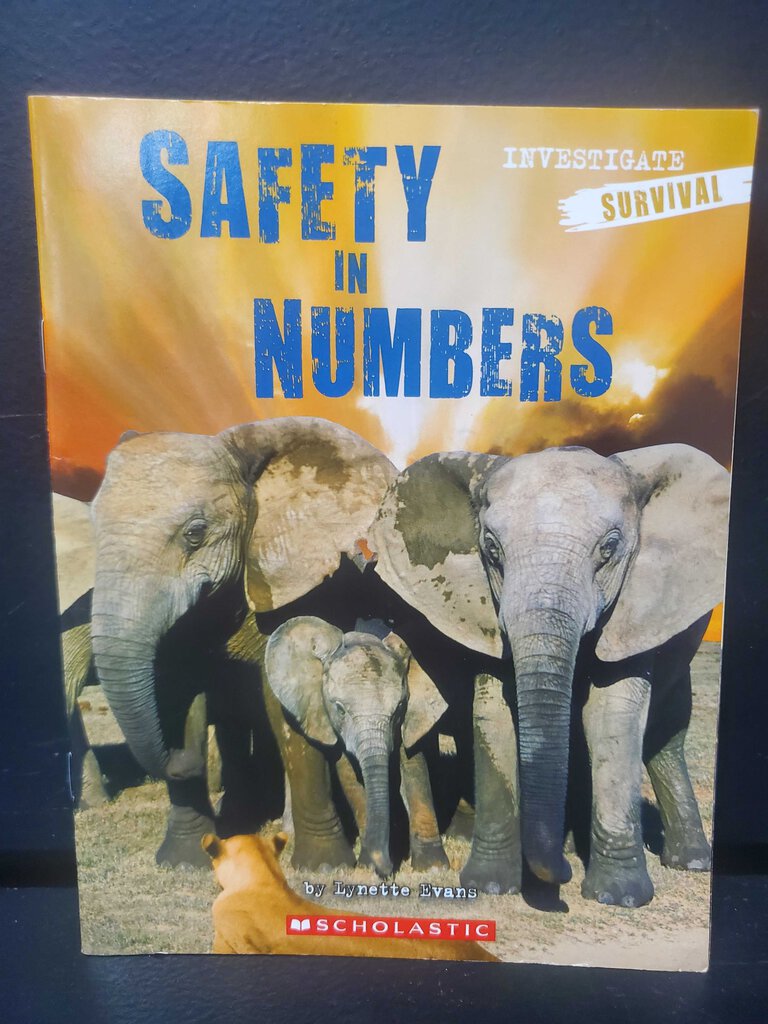 Safety in Numbers (Investigate: Survival) (Lynette Evans) -educational reader paperback