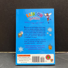 Load image into Gallery viewer, Magical Holiday Boxed Set Christmas (Rainbow Magic Special Edition) (Daisy Meadows) (Season: Winter, Holiday) -series paperback
