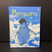 Load image into Gallery viewer, Penguins (Usborne) (Emily Bone) -educational hardcover

