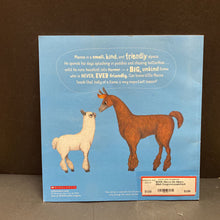 Load image into Gallery viewer, Macca the Alpaca (Matt Cosgrove)-paperback
