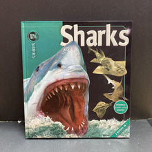 Load image into Gallery viewer, Oceans/Sharks (2 Books in 1)-educational hardcover
