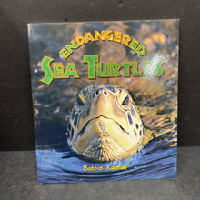 Load image into Gallery viewer, Endangered Sea Turtles (Earth's Endangered Animals)-educational
