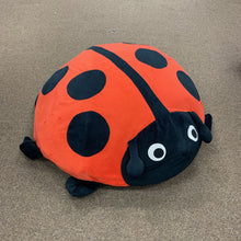 Load image into Gallery viewer, Inflatable Ladybug
