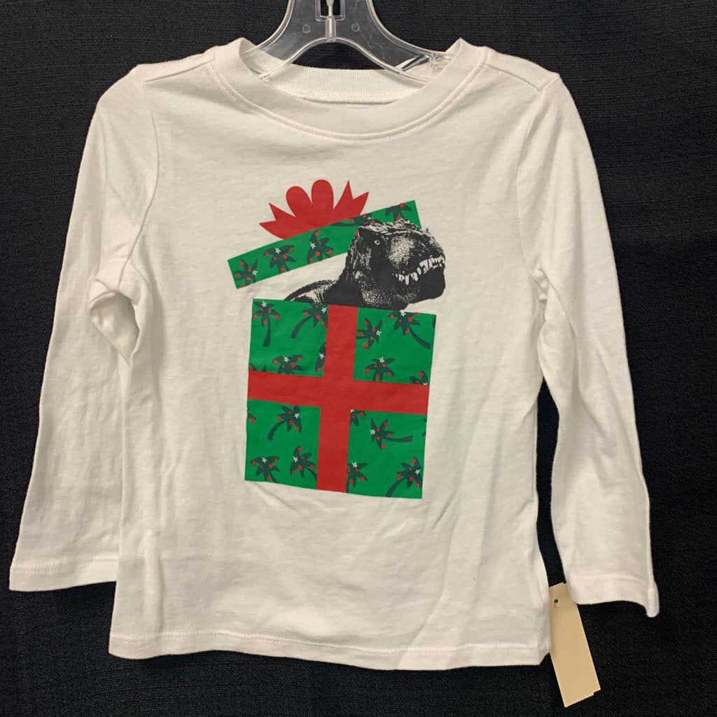 Dinosaur Present Tshirt (Christmas)