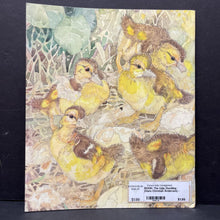 Load image into Gallery viewer, The Ugly Duckling (Hans Christian Andersen) -paperback
