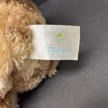 Load image into Gallery viewer, Dairy Queen Cookie Dough Blizzard Bear
