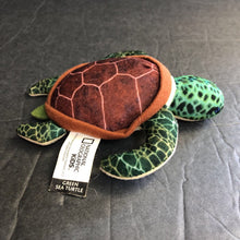 Load image into Gallery viewer, Green Sea Turtle

