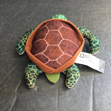 Load image into Gallery viewer, Green Sea Turtle
