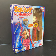 Load image into Gallery viewer, Squishy Human Body Kit
