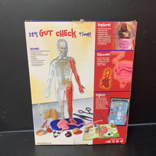 Load image into Gallery viewer, Squishy Human Body Kit
