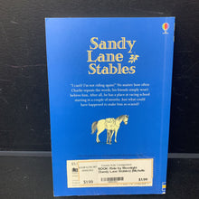 Load image into Gallery viewer, Ride by Moonlight (Sandy Lane Stables) (Michelle Bates) (Usborne) -paperback series
